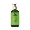 Floraison Ayurvedic Curry Leaves Shampoo 300ML For Dandruff, Hairfall, Shine & Strengthen Hair