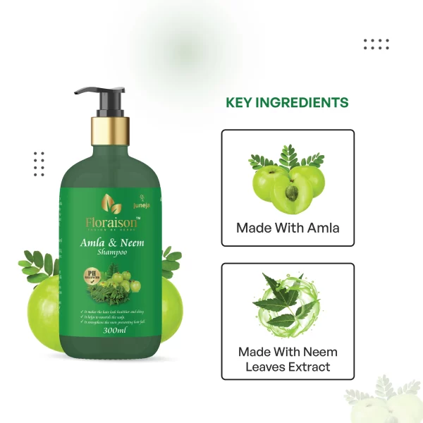 amla ayurvedic shampoo