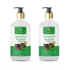 Floraison Spinach & Beetroot Ayurvedic Shampoo 300ML For Dandruff, Frizzy & Damaged Hair