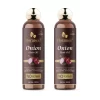 Floraison Ayurvedic Onion Oil 100ML Combo (Pack of 2) For Dandruff, Hair Fall & Premature Greying