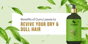 Benefits of Curry Leaves